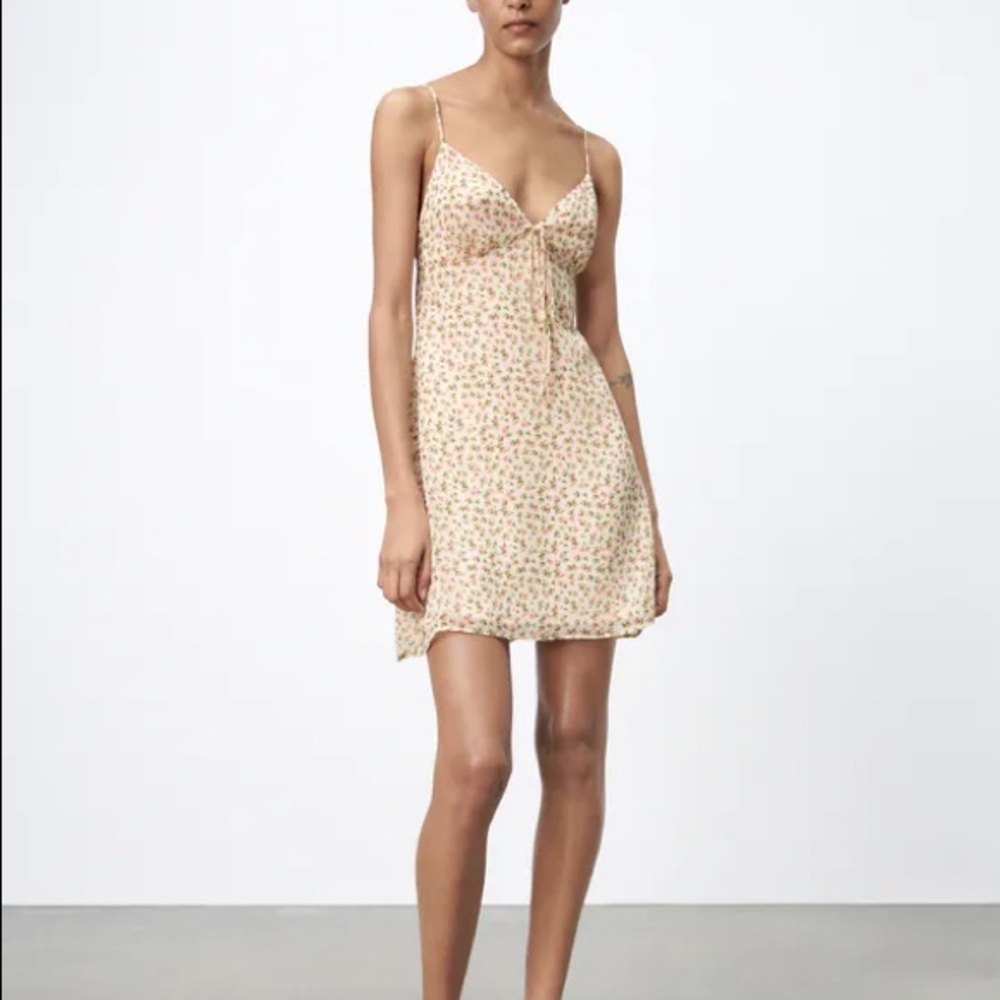 Zara Floral Print Dress